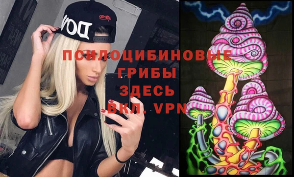 jwh Белокуриха