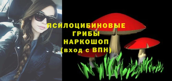 jwh Белокуриха