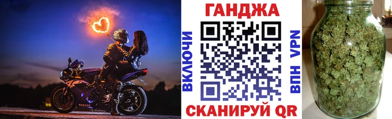 Бошки Шишки сатива  купить наркотики сайты  Отрадное 